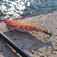 Mustad Baku Egi Lures 3.5in/20g